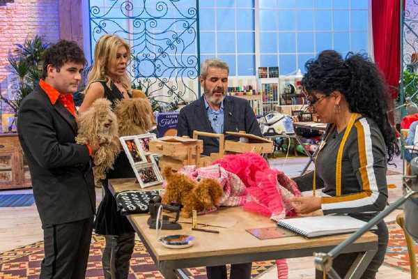 Bibiana Fernández encarga a los aprendices de Maestros de la costura un abrigo a medida para sus perros