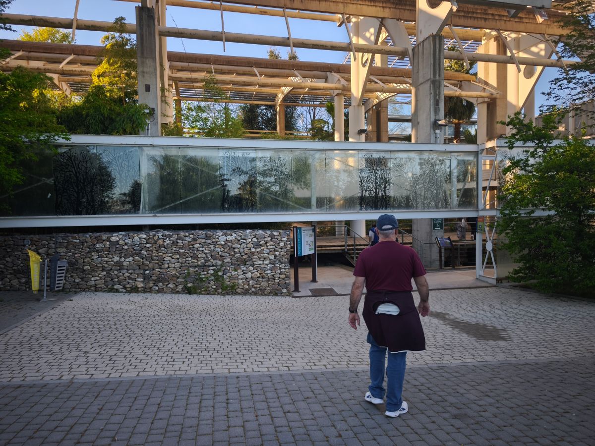 Visita a la Estufa Fría del Parque Juan Carlos I